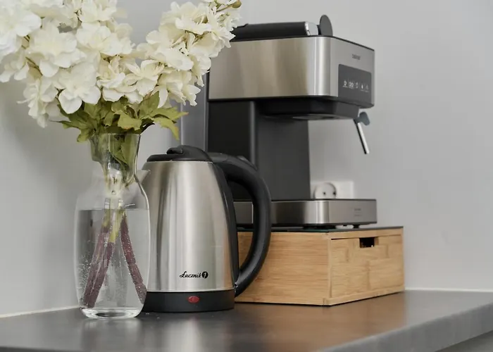 Apartment Odra Tower With Free Garage By Renters *